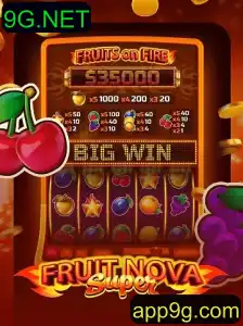 Descubra o Fascinante Mundo de FruitNovaSuper